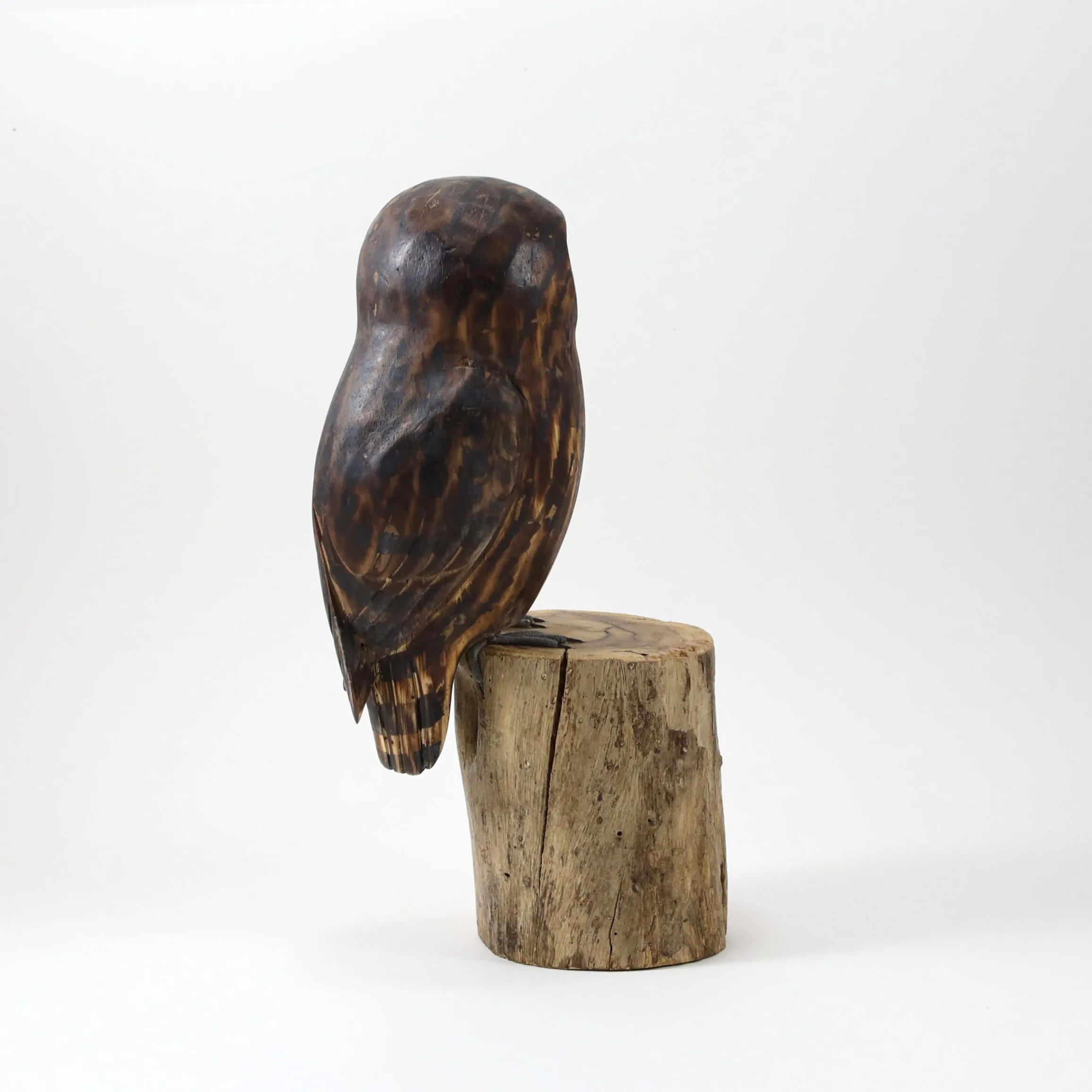 Saw Whet Owl in Wood