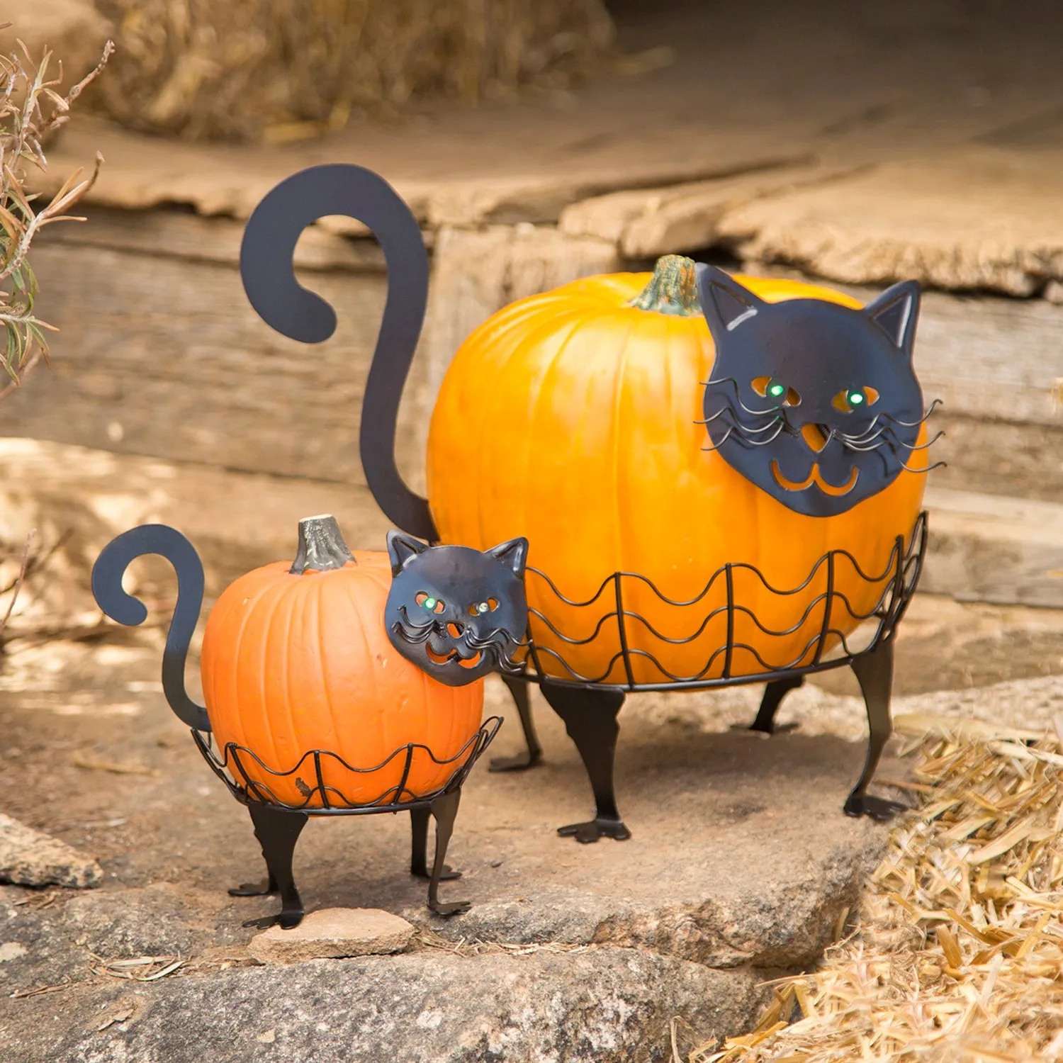 Set Of 2 Cat Pumpkin Holders With LED Eyes - Cat,87678