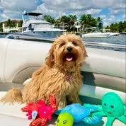 Spunky Pup - Clean Earth Recycled Plush Toys - 100% Sustainable: Small / Pelican