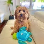 Spunky Pup - Clean Earth Recycled Plush Toys - 100% Sustainable: Small / Pelican