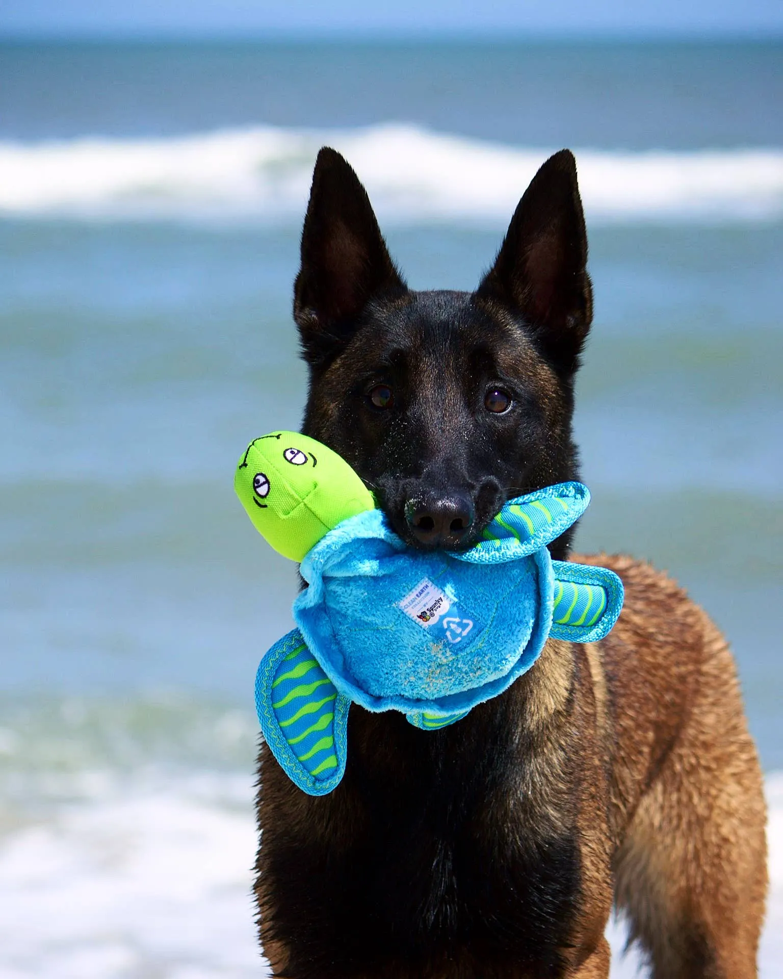 Spunky Pup - Clean Earth Recycled Plush Toys - 100% Sustainable: Small / Pelican