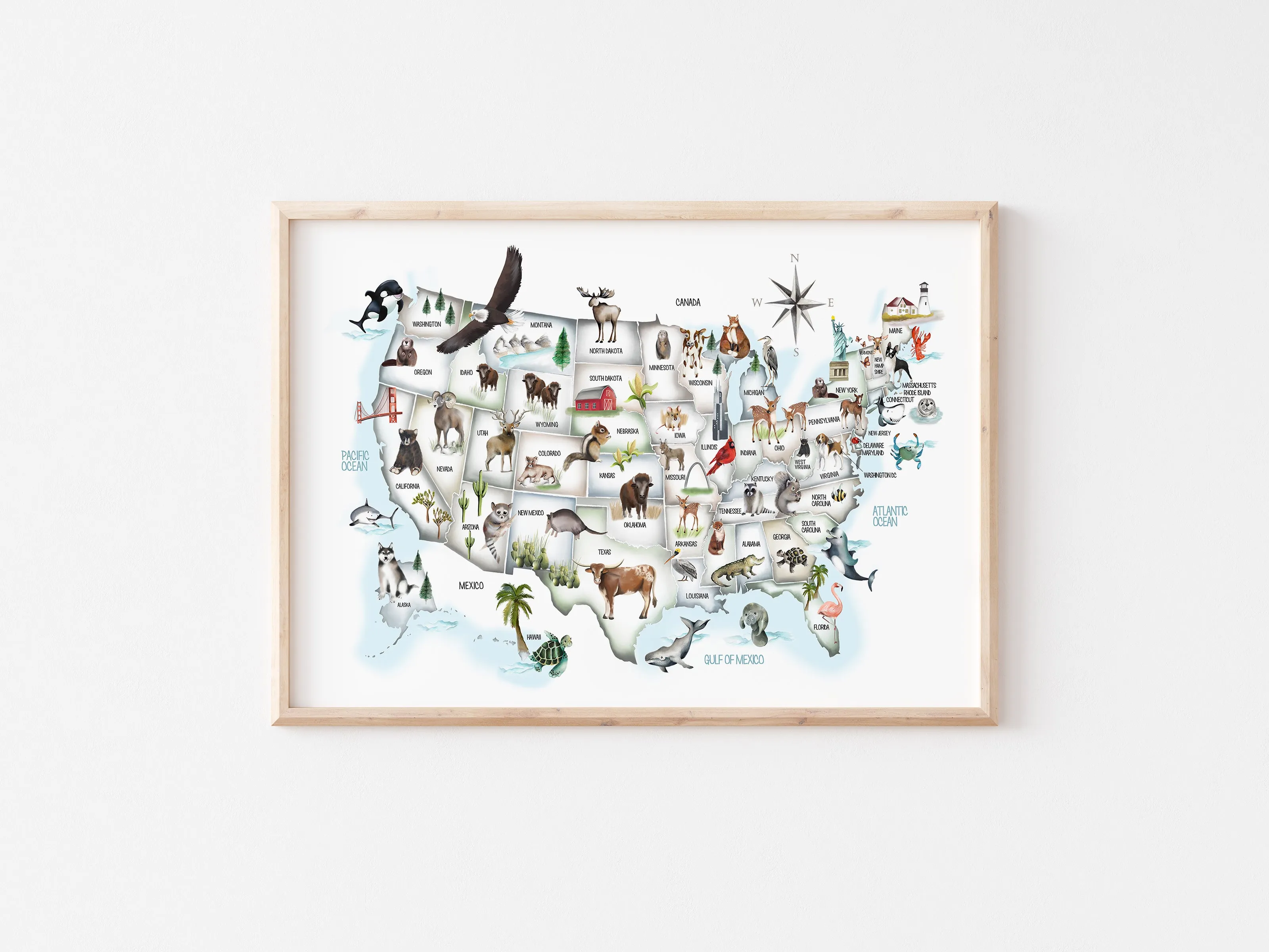 USA Animal Kids Map in Pastel