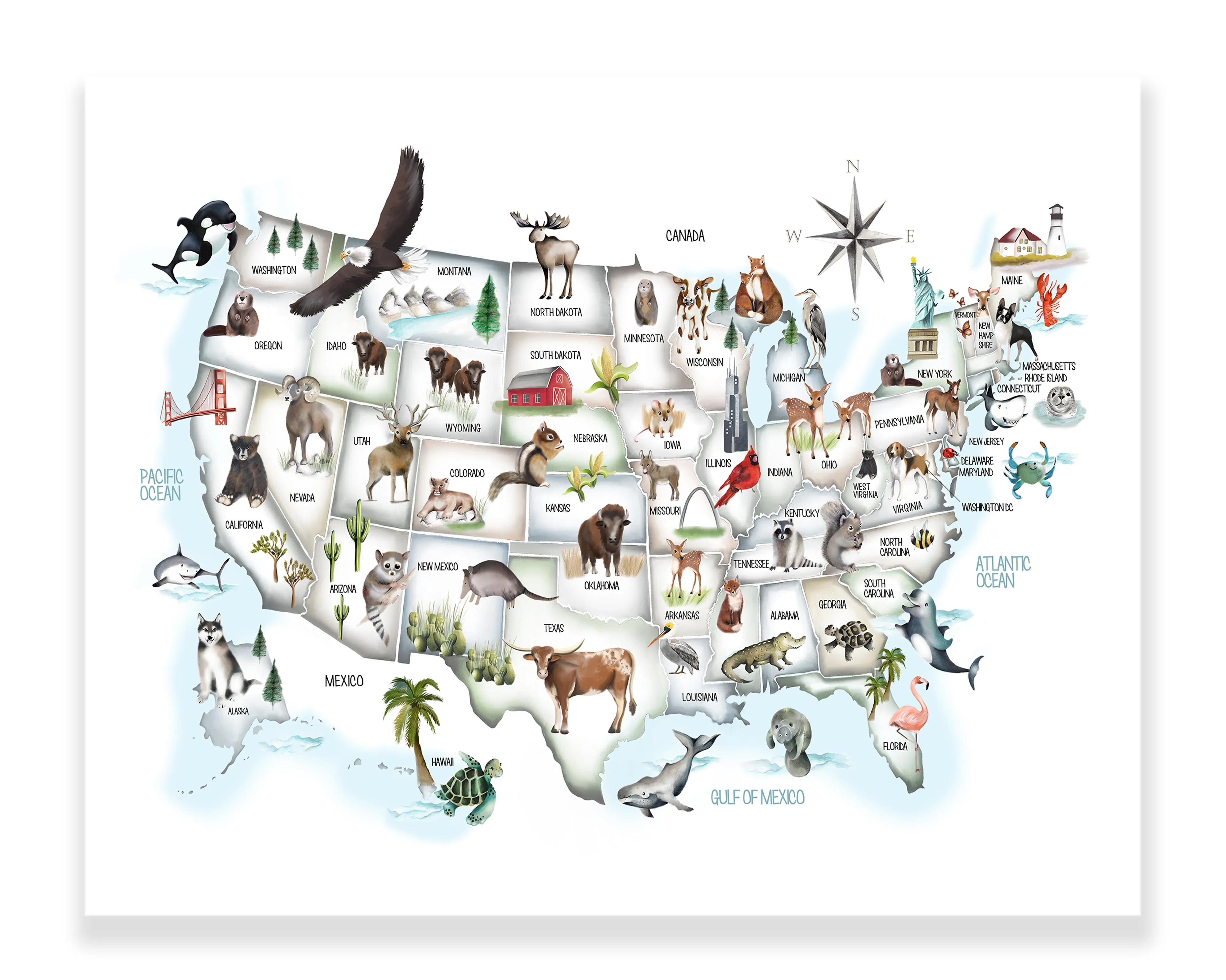 USA Animal Kids Map in Pastel